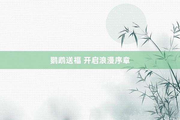 鹦鹉送福 开启浪漫序章